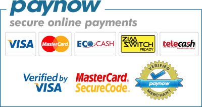 paynow-options